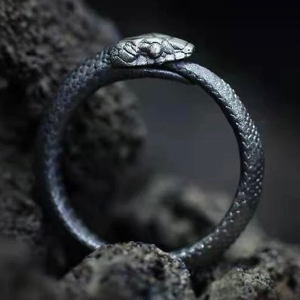 Orobouros Snake Ring Infinity - image 1
